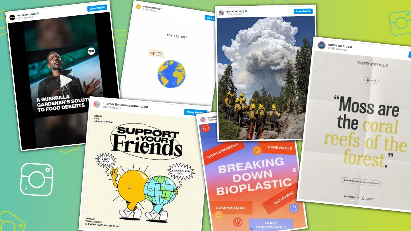 Educational Climate Action Accounts on Instagram