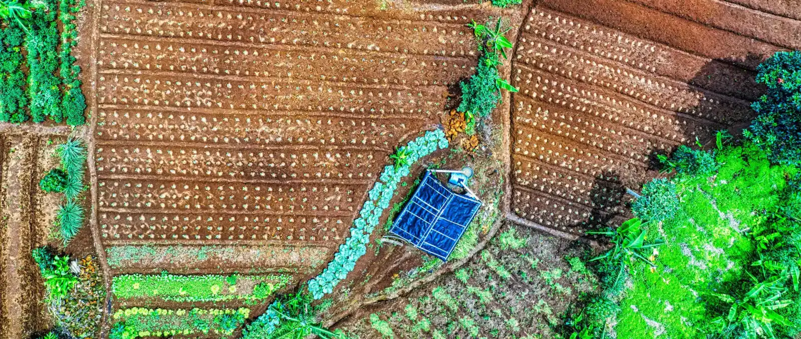 happily events sustainbility