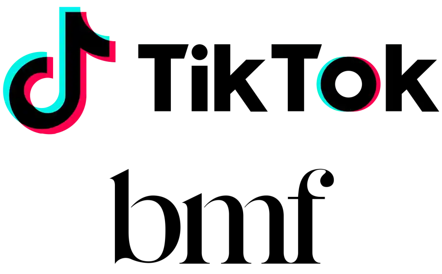 TikTok's Make Black History Summit